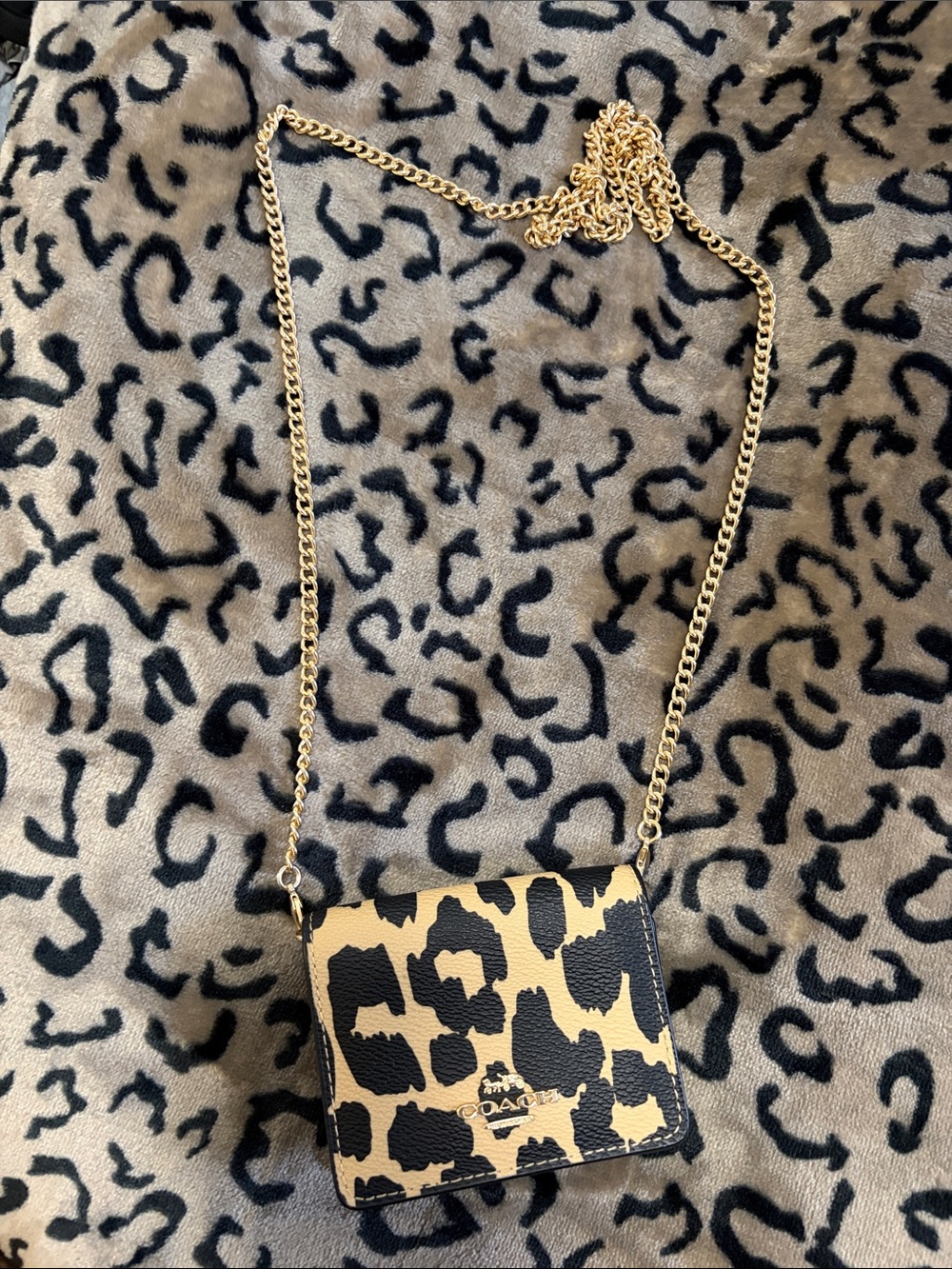 Coach Leopard-Print Chain Crossbody in Tan and Black